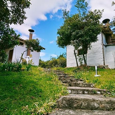 Vila Jardin Colibri Rnt 33633 Guatavita Exteriér fotografie