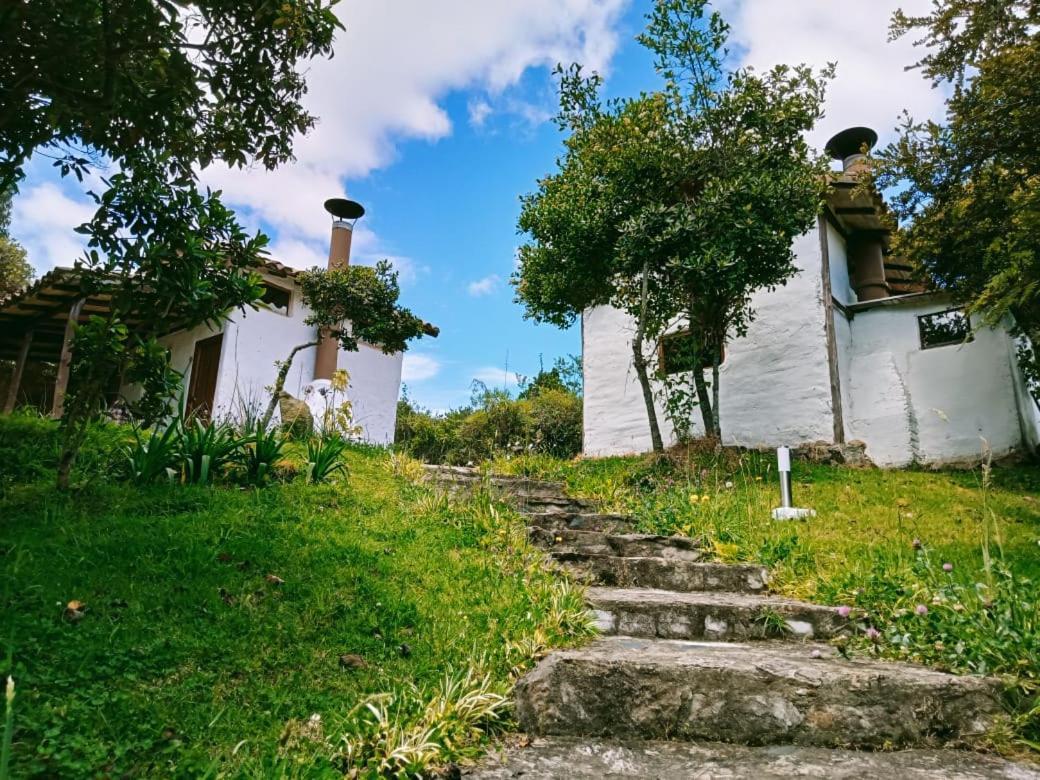 Vila Jardin Colibri Rnt 33633 Guatavita Exteriér fotografie