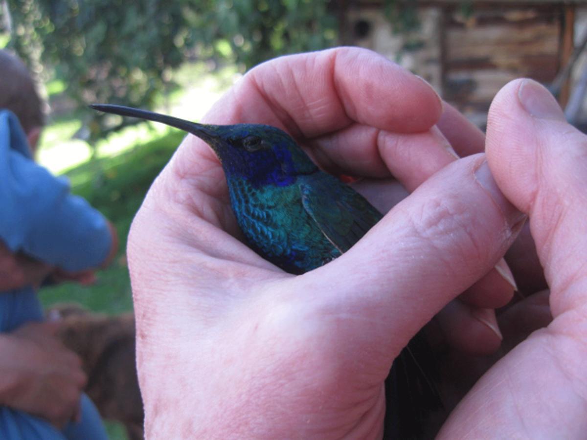 Vila Jardin Colibri Rnt 33633 Guatavita Pokoj fotografie