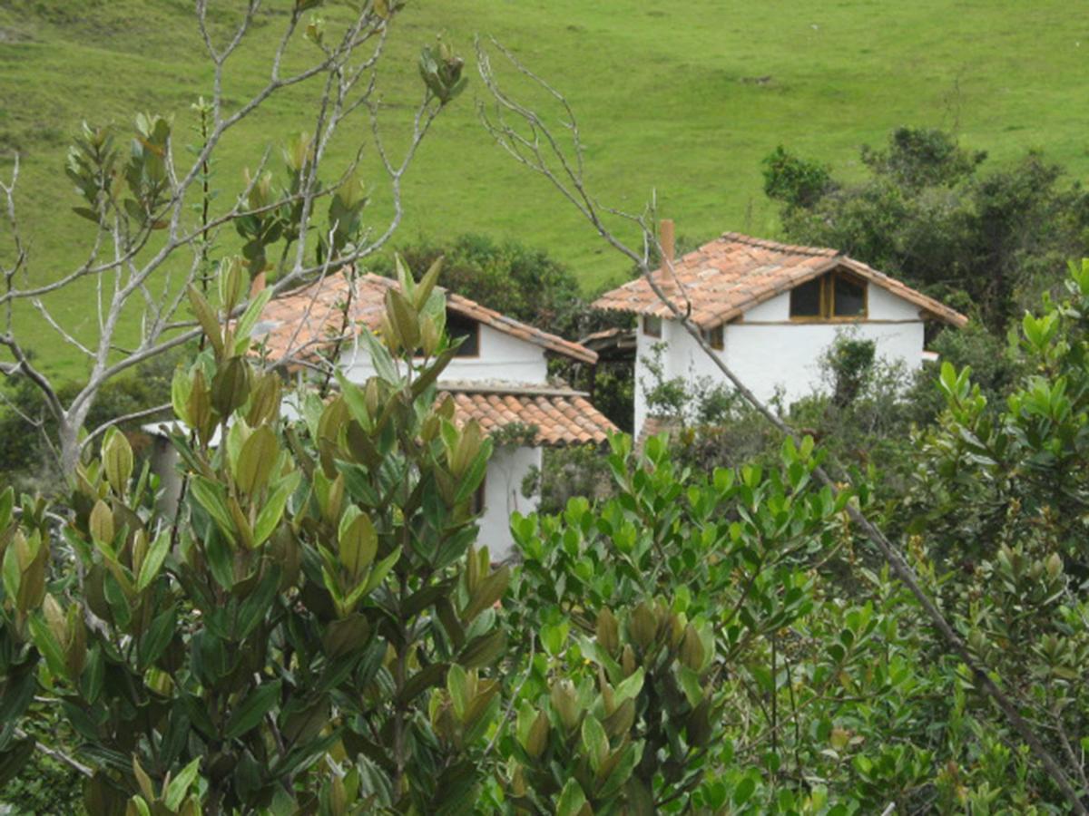 Vila Jardin Colibri Rnt 33633 Guatavita Exteriér fotografie