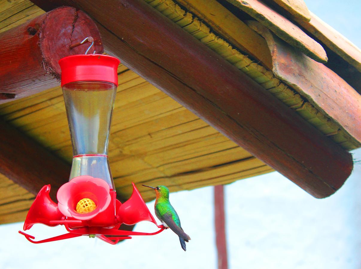 Vila Jardin Colibri Rnt 33633 Guatavita Exteriér fotografie