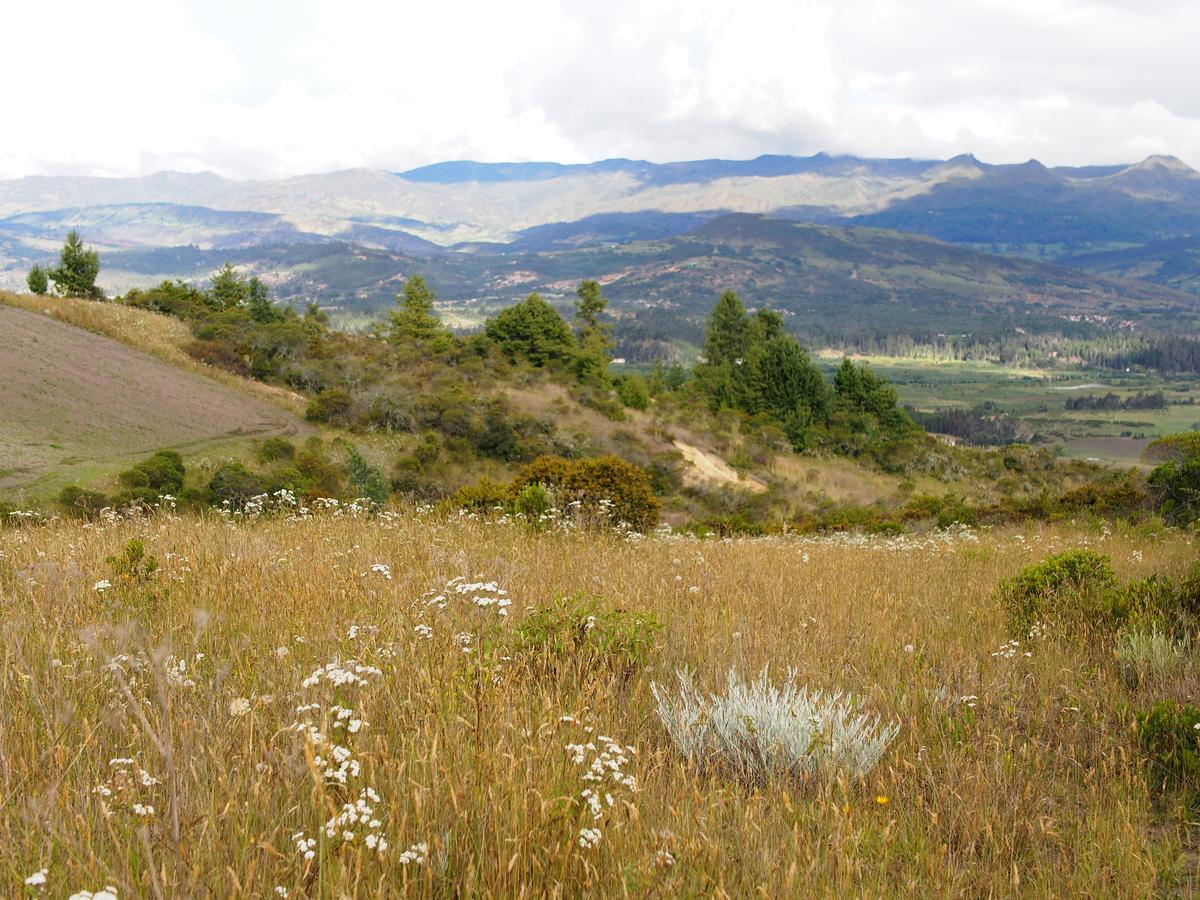 Vila Jardin Colibri Rnt 33633 Guatavita Exteriér fotografie